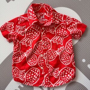Carter's pineapple Hawaii Shirt